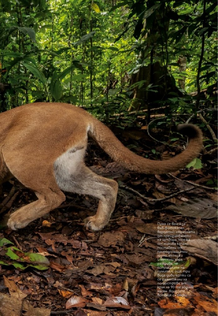 National Geographic България Април/2021