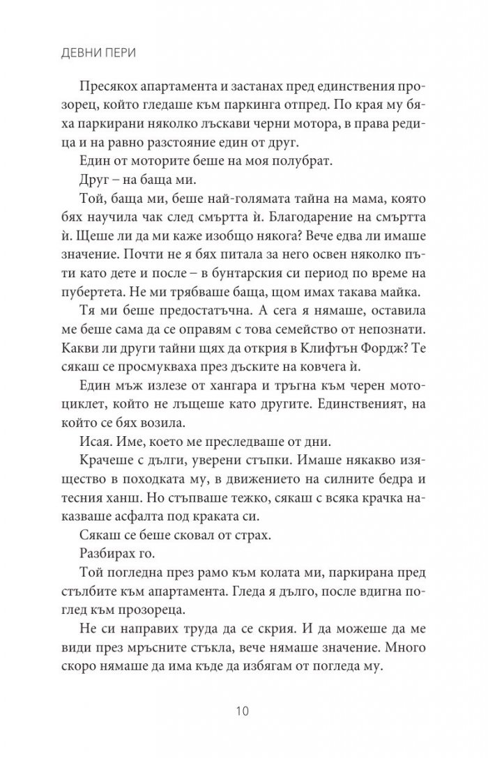 Мрачен рицар Кн.2 от поредицата Тенекиени номади