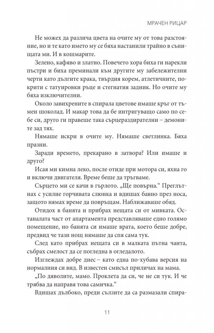 Мрачен рицар Кн.2 от поредицата Тенекиени номади