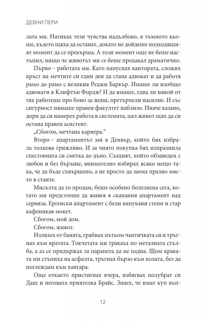 Мрачен рицар Кн.2 от поредицата Тенекиени номади