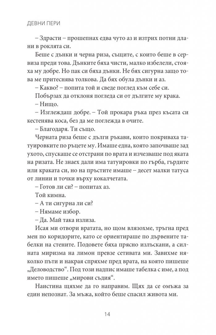Мрачен рицар Кн.2 от поредицата Тенекиени номади