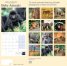 Calendar 2016: Baby Animals