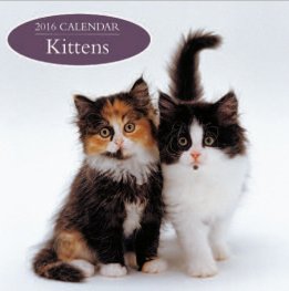 Calendar 2016: Kittens