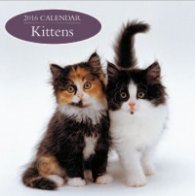 Calendar 2016: Kittens