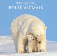 Calendar 2016: Polar Animals
