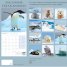 Calendar 2016: Polar Animals