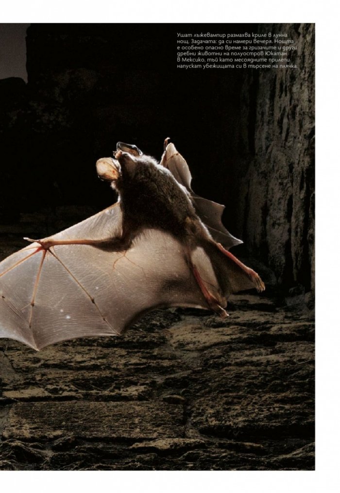 National Geographic България 07/2018