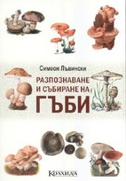 Разпознаване и събиране на гъби