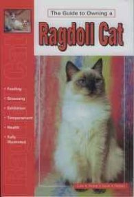 The Guide to Owning a Ragdoll Cat