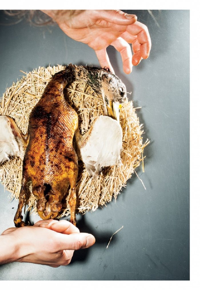 National Geographic България 02/2016