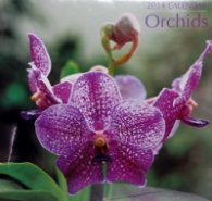 Calendar 2014: Orchids