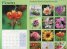 Calendar 2014: Flowers