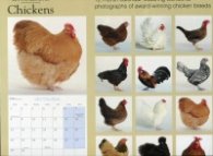 Calendar 2014: Chickens