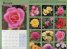 Calendar 2014: Roses