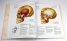 Anatomy of the Head: Anatomy, Mimic, Plasticity