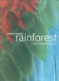Rainforest. A Photographic Joutney