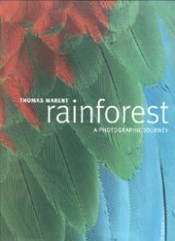 Rainforest. A Photographic Joutney