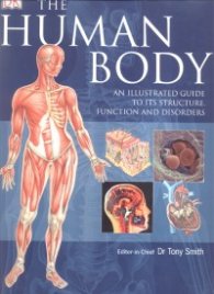 The Human Body