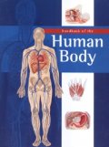 Handbook of the Human Body