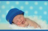 Календар 2019: Pearl in the Shell
