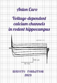 Voltage-dependent calcium channels in rodent hippocampus