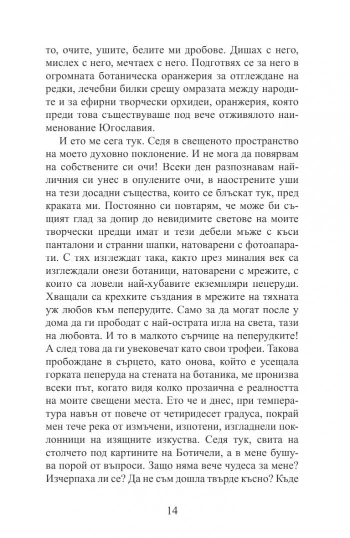 Снегът в Казабланка 