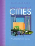 Making Sense of Cities