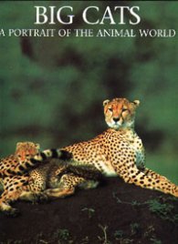 Big cats: A portrait of the animal world