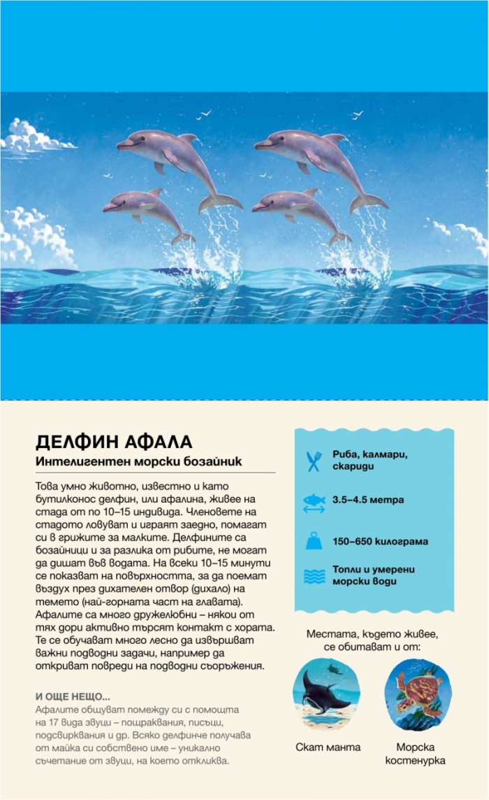 Да надникнем в Океана!