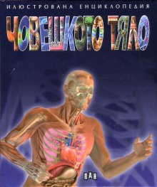Илюстрована енциклопедия Човешкото тяло
