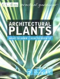 Architectural Plants: What to Grow; How to Grow it