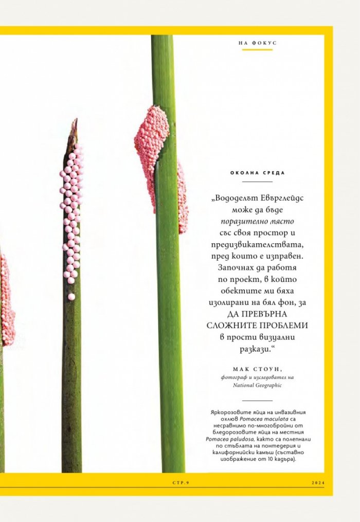 National Geographic България Април/2024