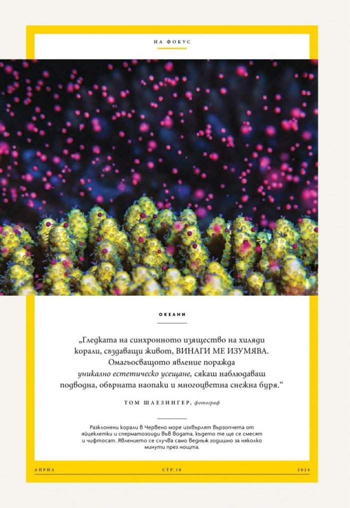 National Geographic България Април/2024