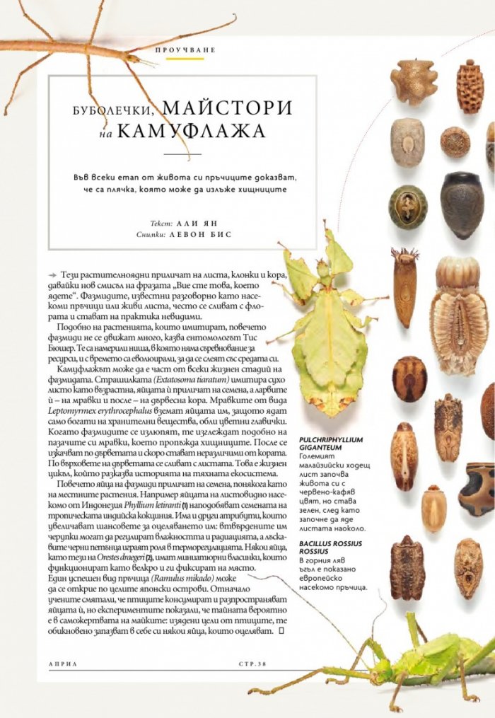 National Geographic България Април/2024
