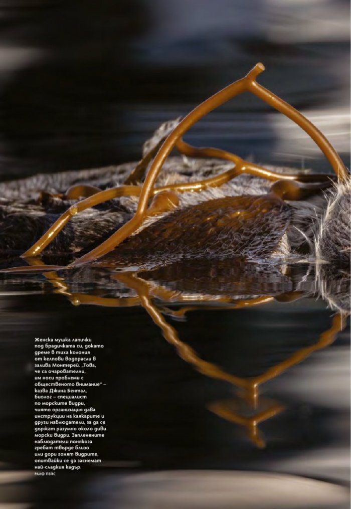 National Geographic България Април/2024