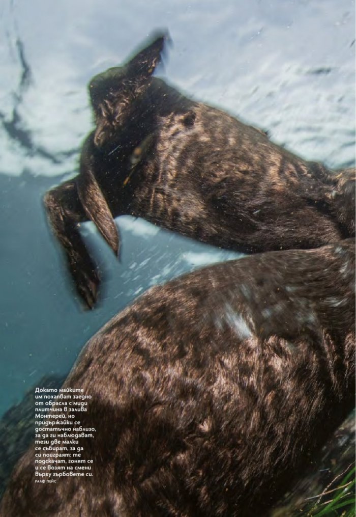 National Geographic България Април/2024