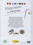 Изкуството да творим: Идеи за Коледа