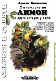 Отглеждане на лимон и други цитруси у дома