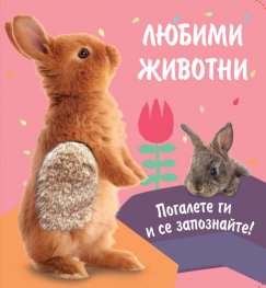 Любими животни: Зайче (Погалете ги и се запознайте!)