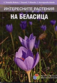 Интересните растения на Беласица