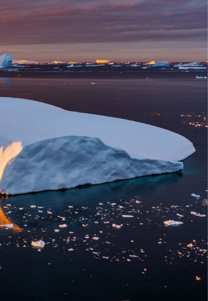 National Geographic България 2/2019