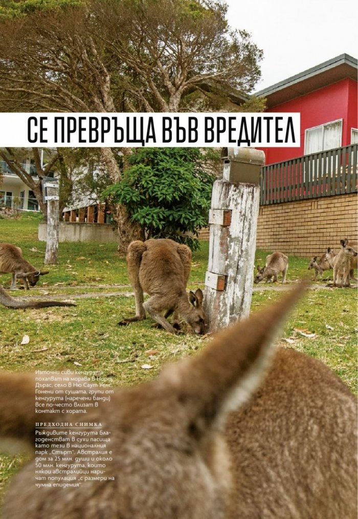 National Geographic България 2/2019