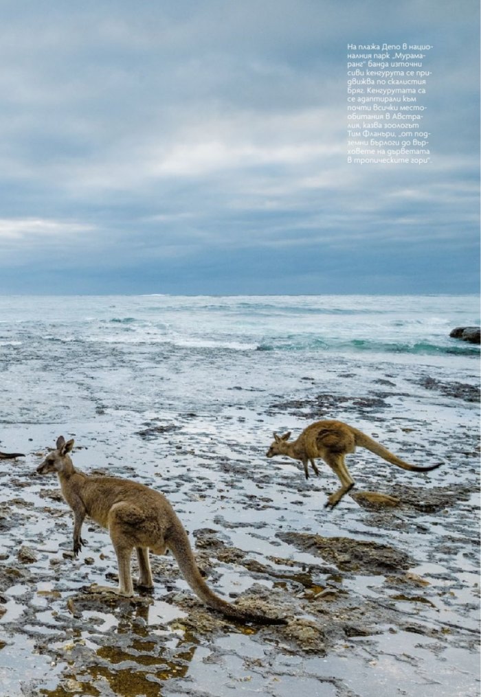 National Geographic България 2/2019