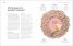 The Science of Beauty