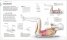 Science of HIIT