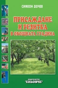 Присаждане и резитба в овощната градина