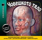 Човешкото тяло/ Панорамна книга