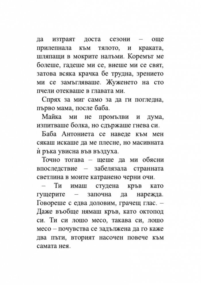 Историята на едно порядъчно семейство