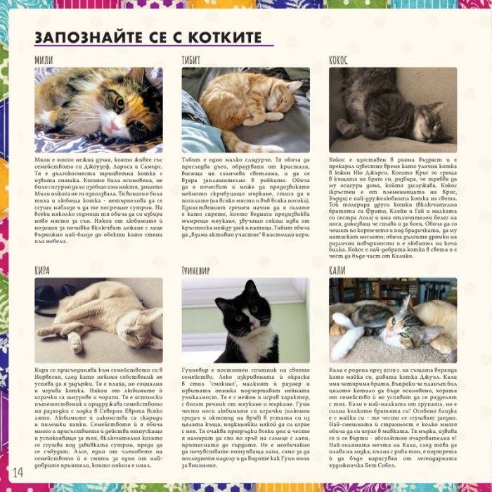 Калико - Настолна игра