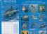 Calendar 2015: Dolphins